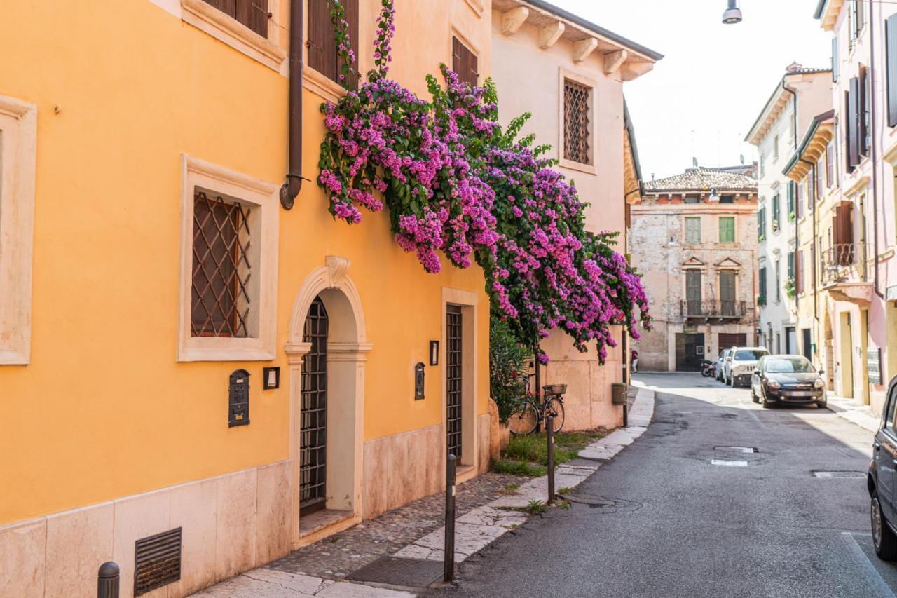 Domus Verona - Residenza Merici Exteriör bild